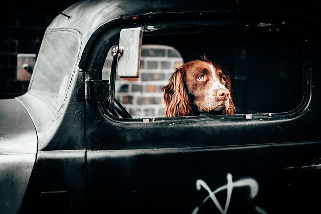 truck