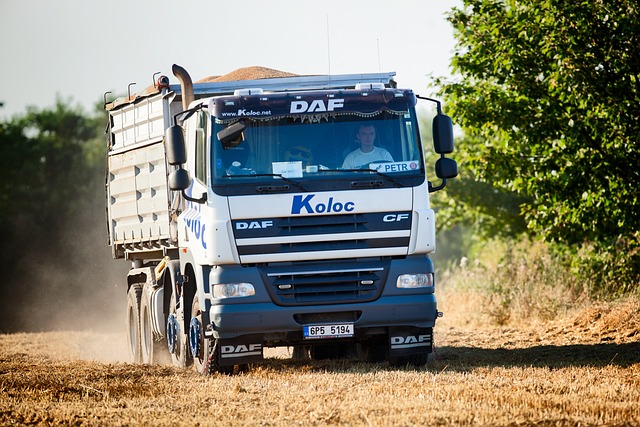 truck driver
