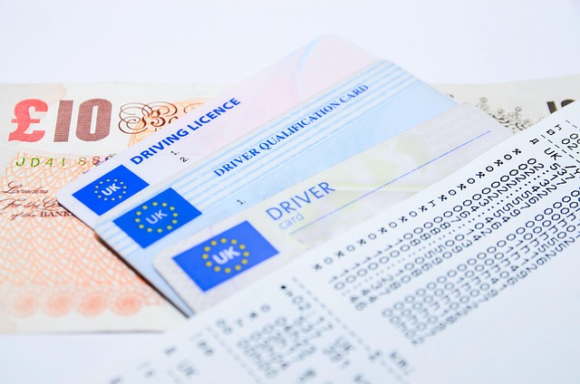 Securing Single-Owner Businesses: Tailored Insurance for Longevity