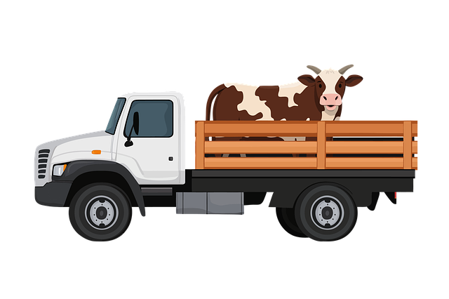 trucking