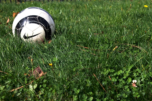 turf