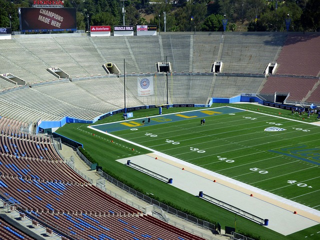 turf