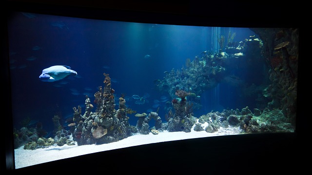 underwater-habitat-design-640x480-56298532.jpeg