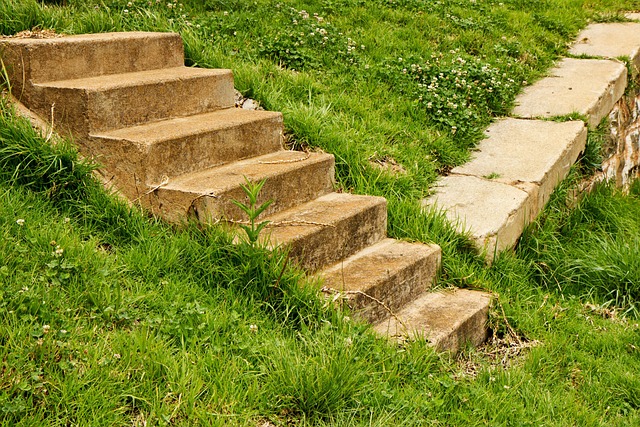 walkway-pathway-640x480-69622910.jpeg