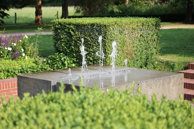 water feature