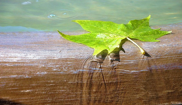 water feature