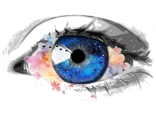 window-640x480-67931469.png