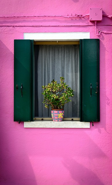 window-house-window-640x480-3663906.jpeg