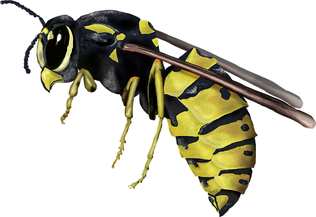 Customized Long-Term Yellow Jacket Prevention Plans by Control Services