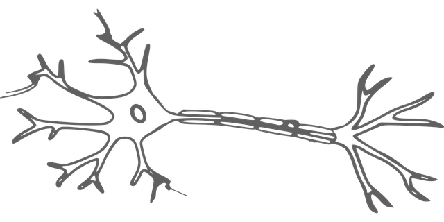 arthritis-pain-relief-with-stem-cells-640x480-91553280.png