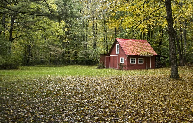 barn-door-640x480-22297942.jpeg