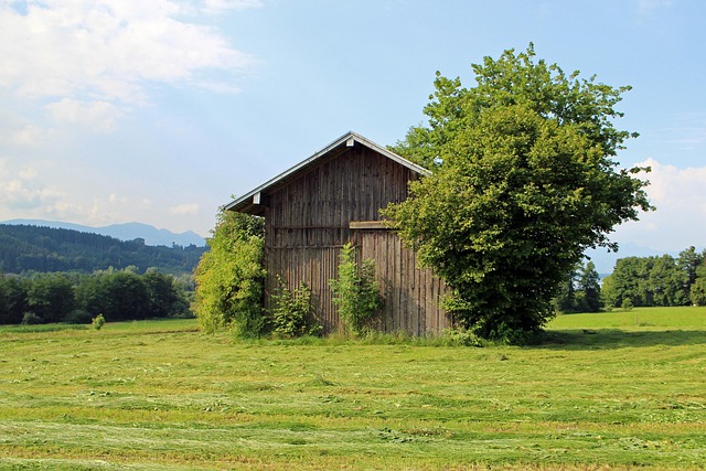 barn-door-640x480-7410334.jpeg