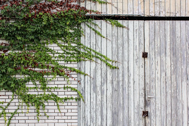 barn-door-640x480-96178299.jpeg