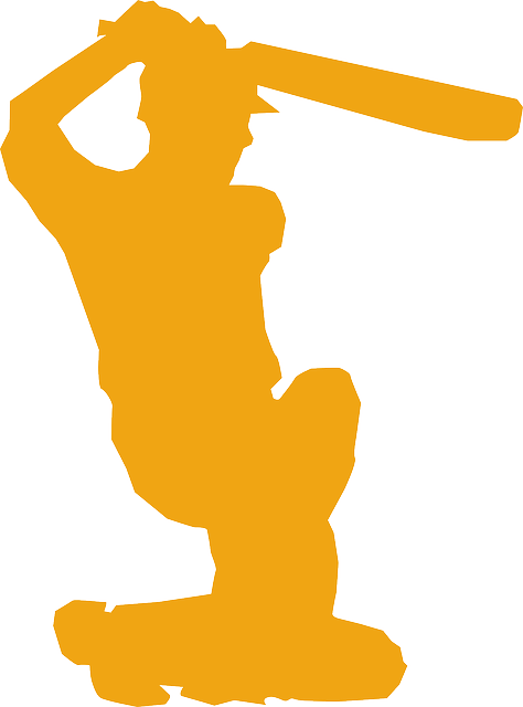 Professional Bat Removal: Tailored Solutions for Residential and Commercial Spaces