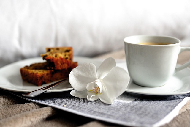 Heat Treatment for Bed Bugs: Solutions for Commercial & Residential Infestations
