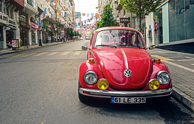 beetle-640x480-45196118.jpeg
