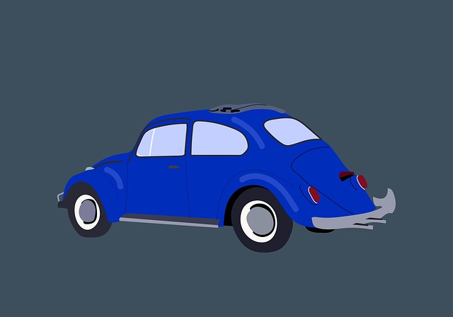 beetle-640x480-55060492.jpeg