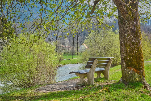 bench-640x480-45688404.jpeg