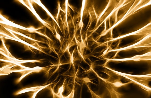 Brain PET Scans: Balancing Benefits with Radiation Exposure Mitigation