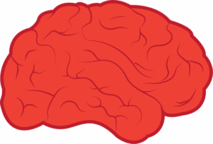 brain-ultrasound-640x480-39745356.png