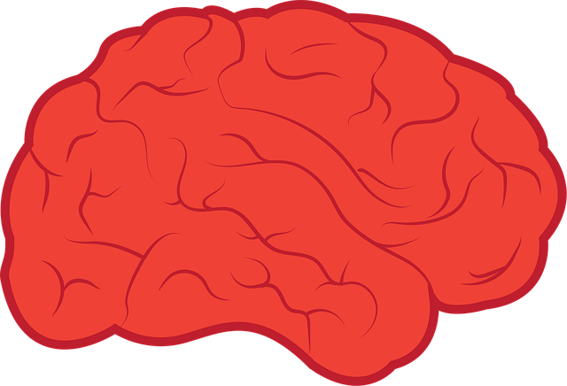 Revolutionizing Brain Tumor Imaging: Future Tech Advancements