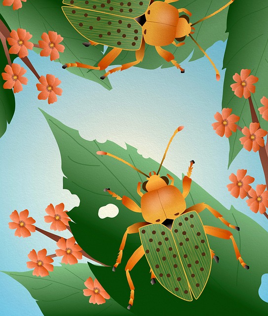 bug-640x480-91167895.jpeg