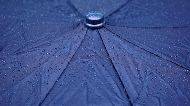 canopy-640x480-6101300.jpeg