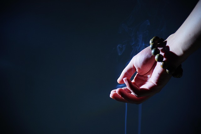 cigarette-beetle-640x480-71387666.jpeg