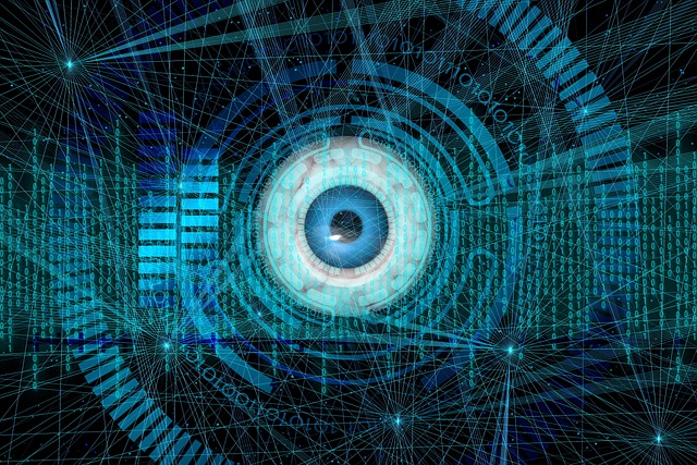 Navigating Compliance: Live Security Monitoring for Privacy Protections