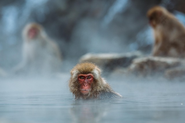 cold-water-therapy-640x480-18962819.jpeg