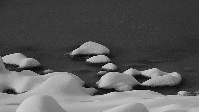 Cold Plunges: Accelerate Post-Workout Recovery & Boost Fat Burning