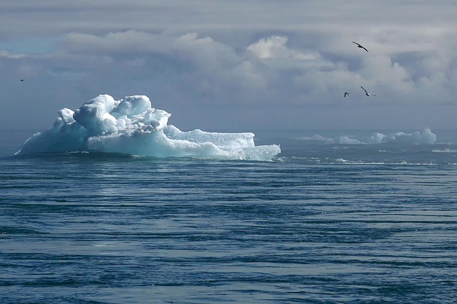 Cold Plunges: A Natural Approach to PMS Management and Hormone Balance