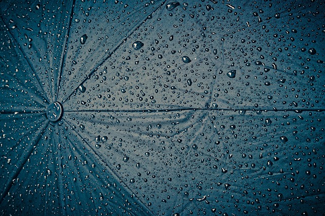 Safe Cold Plunge Practices for Hormonal Balance