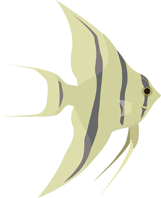 custom-aquariums-640x480-76116354.png