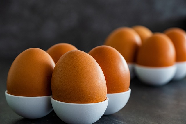 donor-eggs-for-pregnancy-640x480-50884268.jpeg