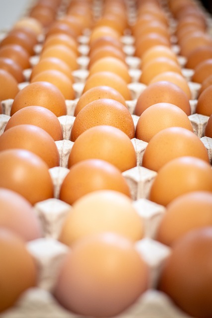Egg Donation Success Stories: Overcoming Infertility, Building Families