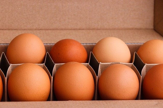 Embracing Donor Eggs: Emotional Support for Women’s Fertility Journey