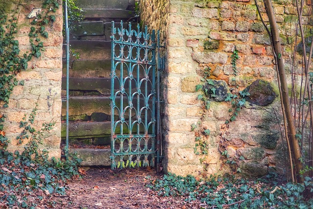 Trusted Storm Doors: Unlock Energy Efficiency & Enhanced Security with Custom Solutions