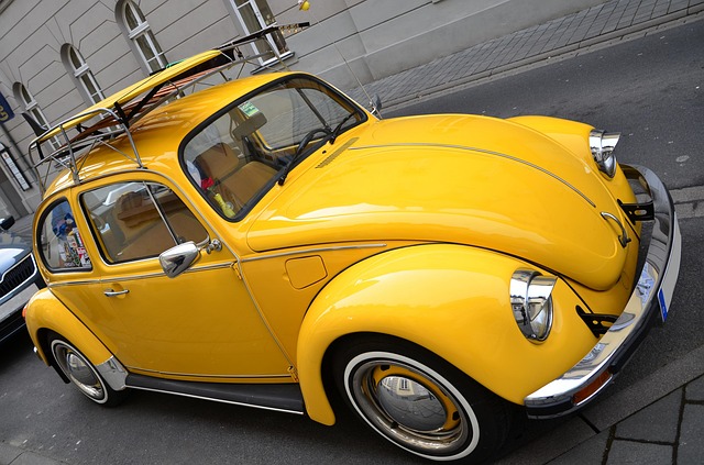 drugstore-beetle-640x480-95555248.jpeg