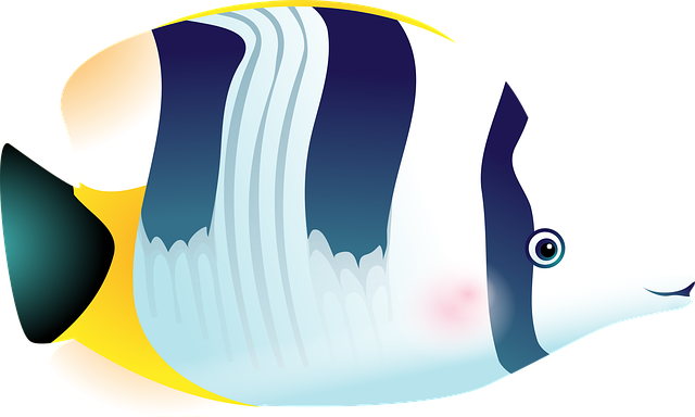 Museum-Quality Aquariums: Revolutionizing Marine Conservation Engagement