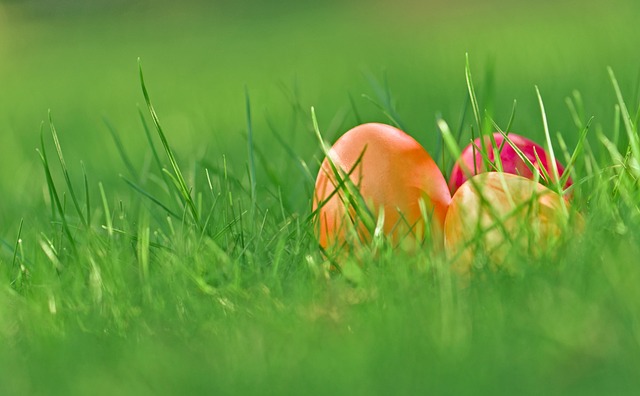 Surrogacy with Egg Donation: Navigating Known vs Anonymous Donors for Gay Parents