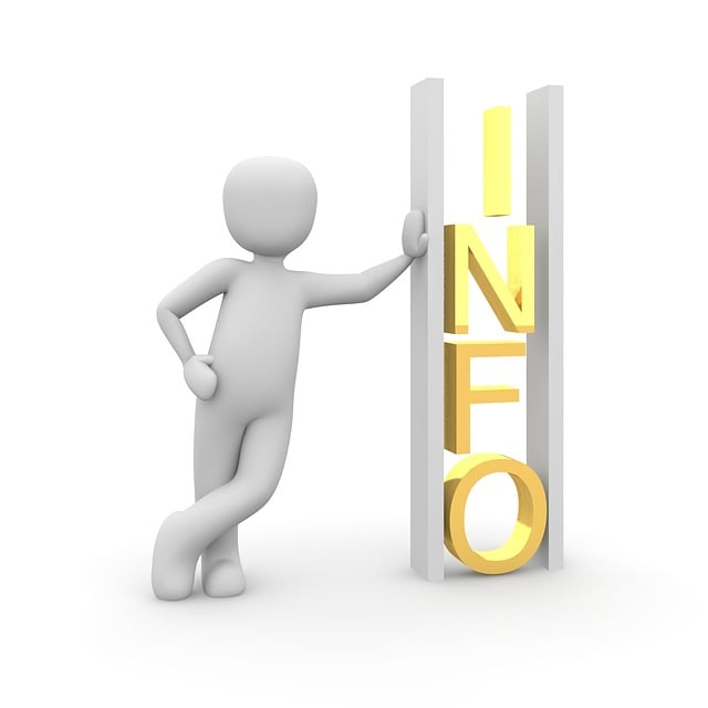 Fortifying Finance: IT Risk Management & Cybersecurity Solutions