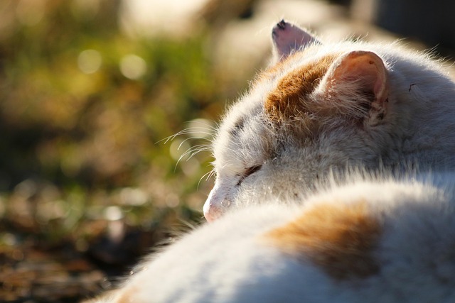 Float Therapy: Regulate Sleep Cycles with Natural Sleep Aid