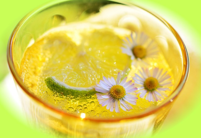Detoxifying Infrared Therapy: Unlocking Immune Support and Whole-Body Cleansing