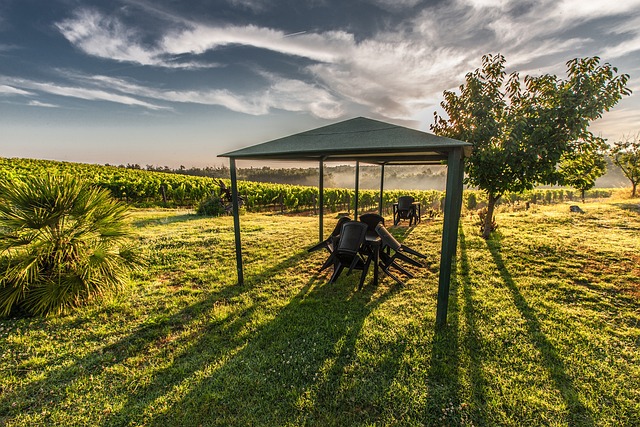 Elevate Outdoor Spaces: Durable Metal Gazebos with Seating, Shelving, and Storage