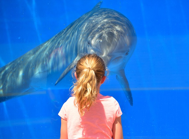 Low-Iron Glass: Transparent Revolution Over Acrylic Aquariums