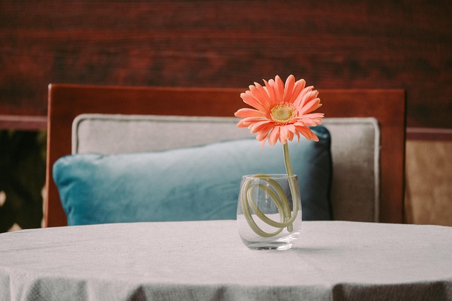 indoor-plant-decor-for-homes-640x480-1550377.jpeg