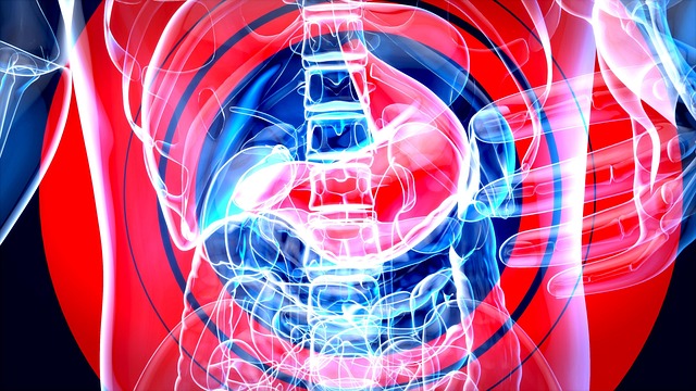 Contrast Agents: Enhancing Soft Tissue X-rays, Balancing Safety Risks