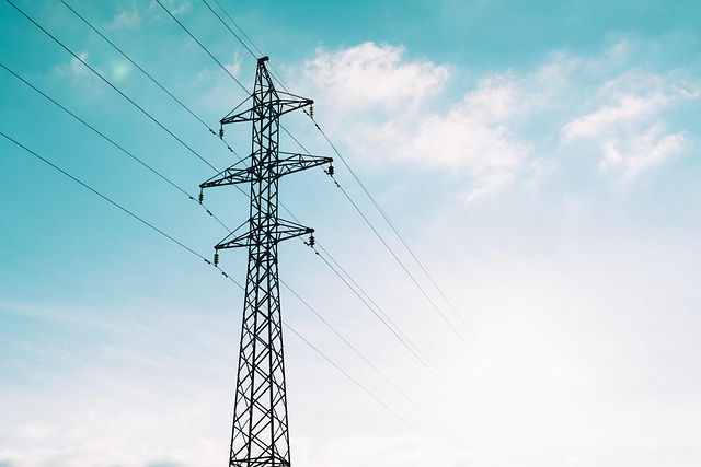 Optimizing Enterprise Networks: Copper vs Fiber Backbone for Office Data Cabling