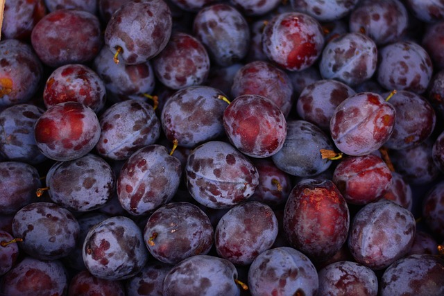 Zinc Boost: Unlocking Immunity with Hydration Therapy